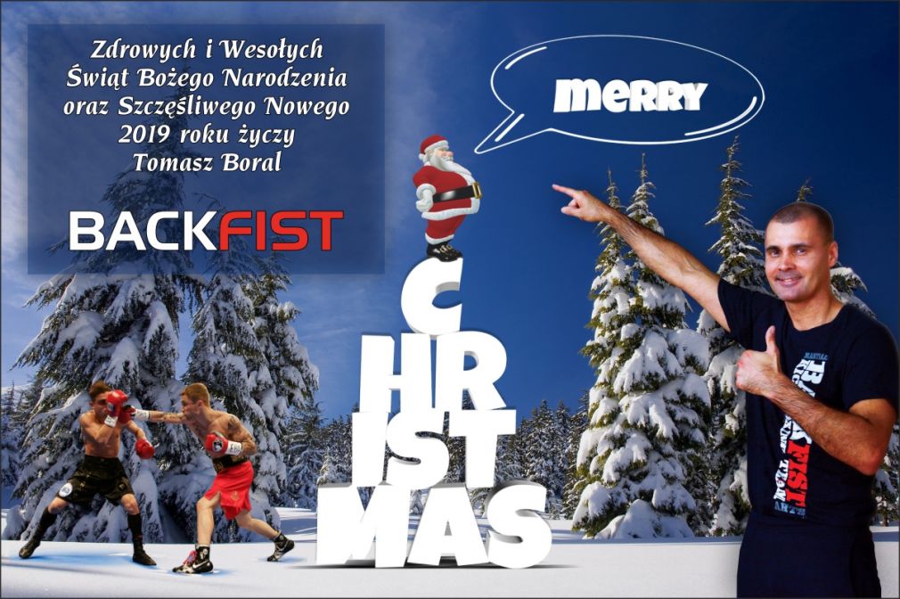 Wesołych Świąt i Szczęśliwego Nowego Roku 2019